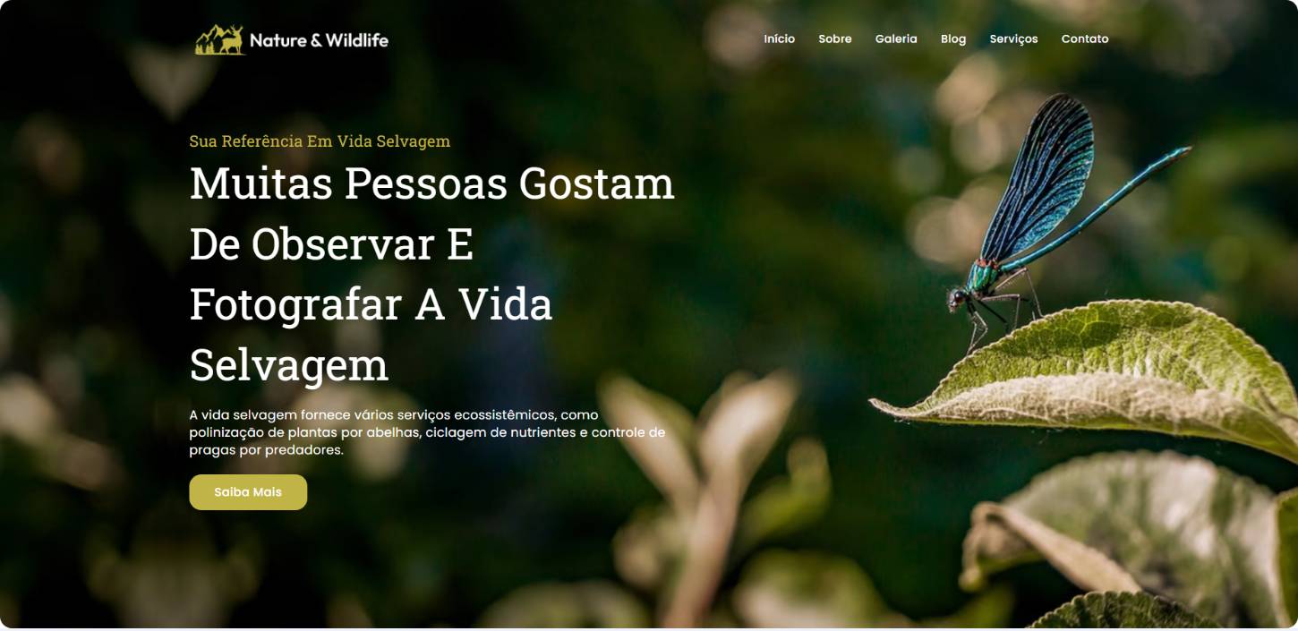 1696070403 Travel Agency - Travel Agency